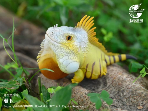 Lagarto Caja Ciega Animal Planet 16 Iguana Iguana Cyclura Lewisi Juguetes Figura de Resina - Imagen 8 de 26
