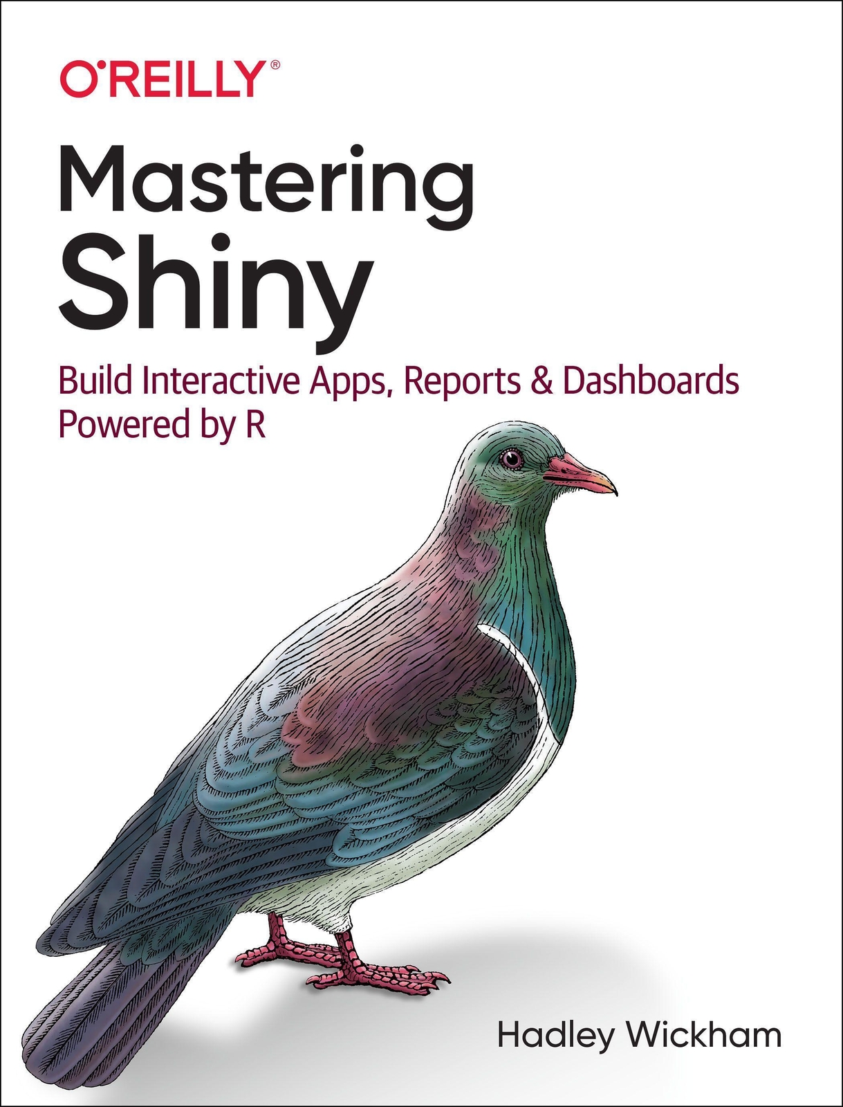 Thumbnail - Hadley Wickham | Mastering Shiny | Taschenbuch | Englisch (2021)