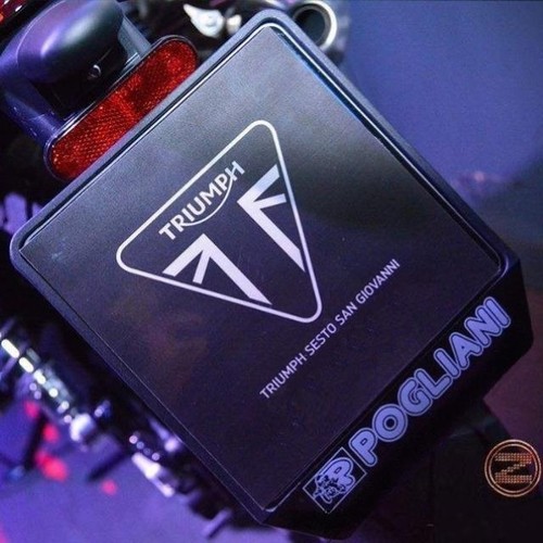 Soporte Izquierdo Pastillas Freno Delantero, Recambio Original TRIUMPH T2025438 - Picture 5 of 5