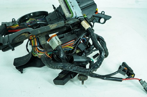 07 Harley Sportster Custom 883 Main Wire Harness Loom Ignition Switch NOKey 1352 - Picture 8 of 23