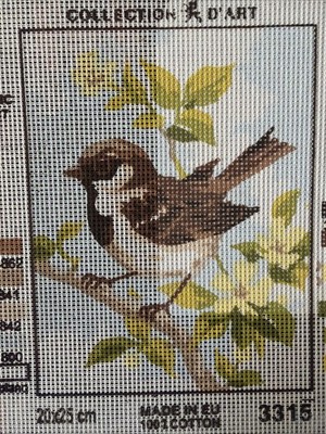 Printed needlepoint tapestry   20x25 Cm  Rto Canvas Only