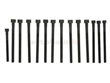 ELRING KLINGER Cylinder Head Bolt Set 270190 BMW X5 X3 E36 328i E46 325i 528i