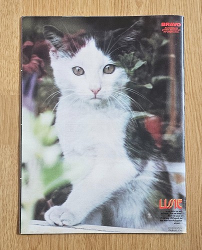 BRAVO Magazine 1975 = AUSWAHL aus Heft 1 bis 52 ~~~ 50. Geburtstag ~~~ ! - 第 196/198 張圖片