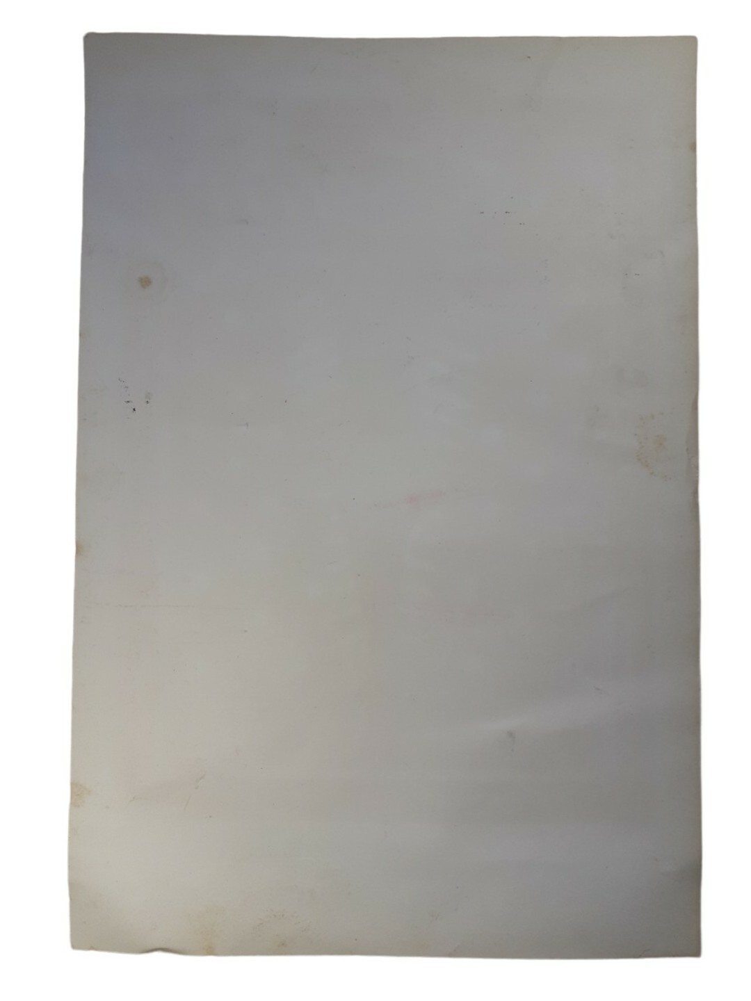 Foto 2 di 8
