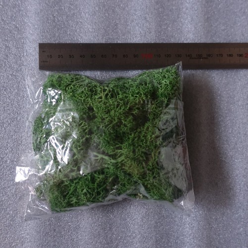 Artificial Green Moss Micro Landscape Fake Moss Garden Crafts Home Decor 40g Bag - Picture 5 of 6
