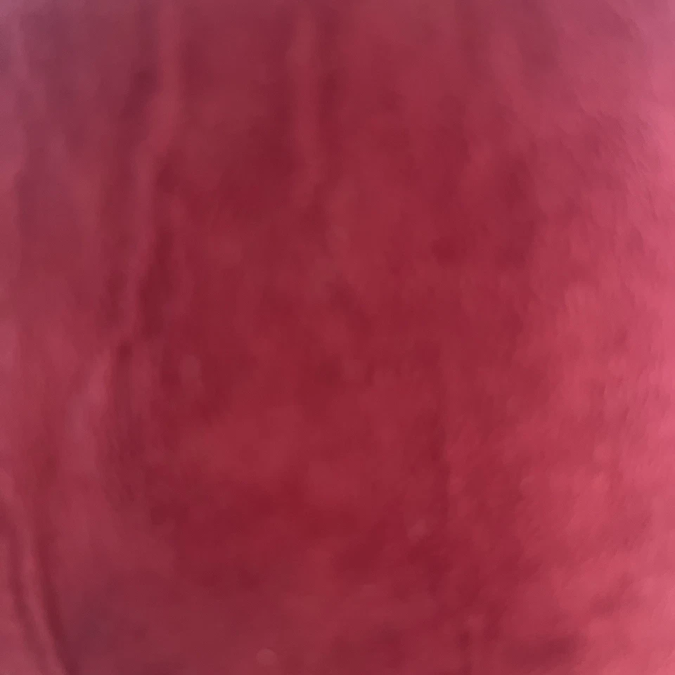 Винтажный женщин искусственной замши галстук заявление широкий ремень золото акценты клюквы красный - Изображение 4 из 4