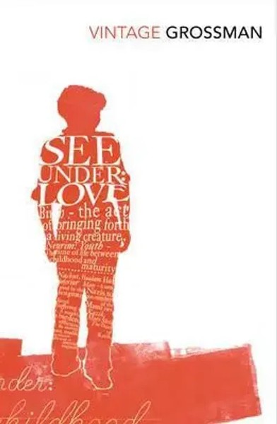 See Under Love | David Grossman | Englisch | Taschenbuch | 457 S. | 2010-image