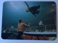 2008 Lamincards WWE Euro Jeff Hardy card #143