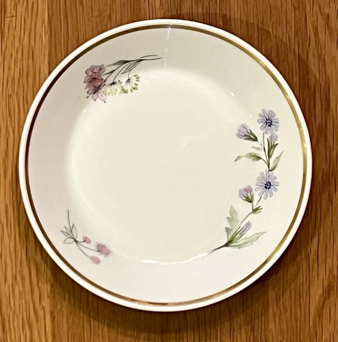 RICHARD GINORI Primavera Teacup Saucer 5 ½” Diameter Fine Bone China from Italy - Imagen 1 de 4