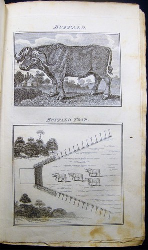 1795 AMERICAN HISTORY WINTERBOTHAM VOL. I ORIGINAL PAPER COVERED BOARDS - Picture 19 of 23