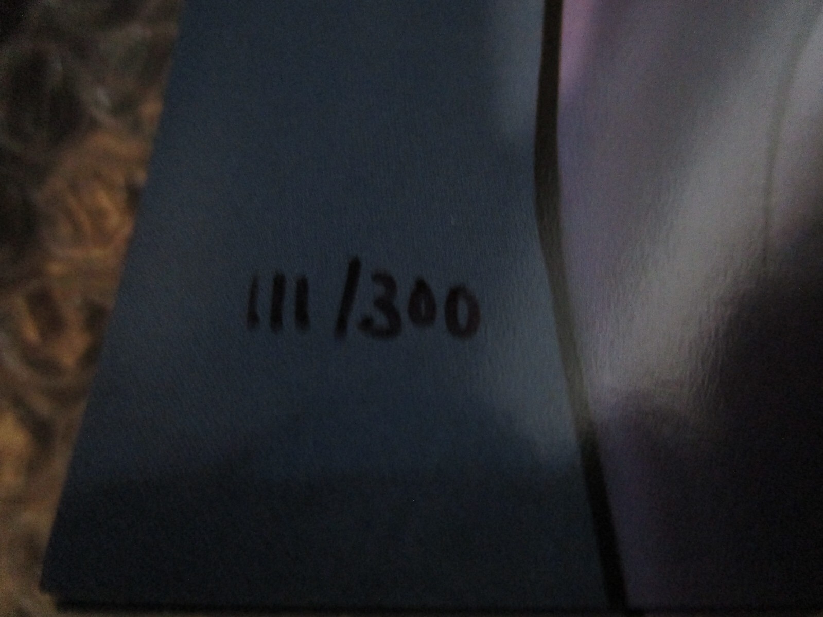 Picture 4 of 4