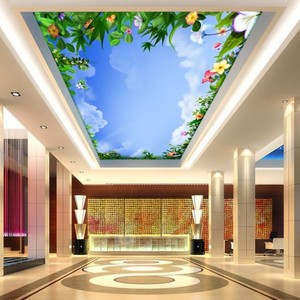 Details About Stretch Ceilings