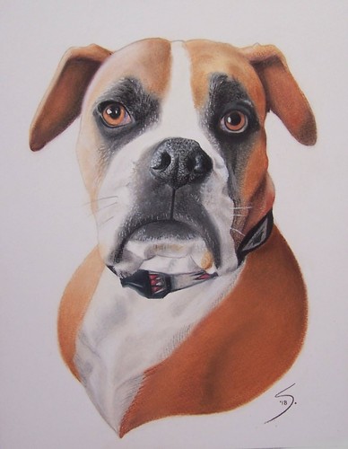 Original Artwork Custom Pet Portraits from your Photos! - Picture 6 of 9