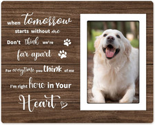 Loss of Dog Sympathy Gift, Pet Memorial Picture Frame for 4X6 Photos, Passing Aw