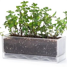 Window Box Herb Planter with Drainage