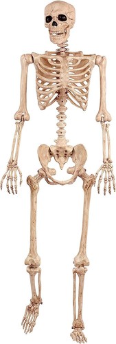 Crazy Bonez Pose-N-Stay Skeleton - Picture 2 of 12