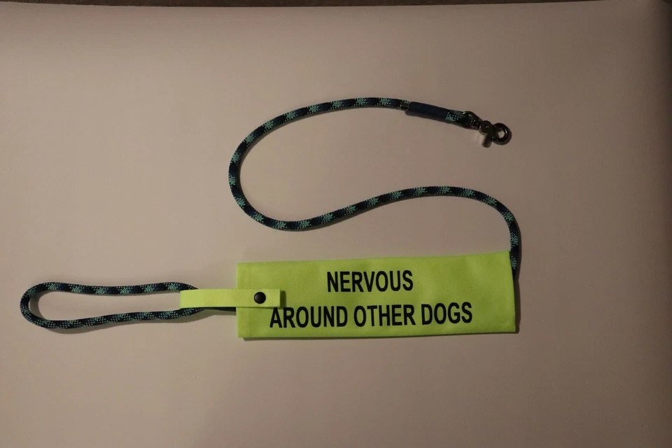 Funda de plomo para perros - Accesorio de seguridad impermeable de alta visibilidad para entrenamiento y paseos Foto 3 de 4