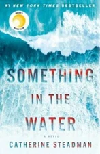 Something in the Water: A Novel - Hardcover By Steadman, Catherine - VERY GOOD