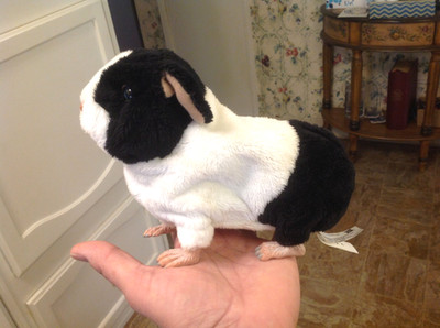 Hasbro FurReal Friends Luv Cubs Interactive New Born GUINEA PIG Working