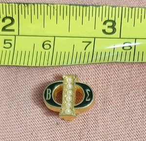 Vintage Beta Phi Sigma Fraternity Sorority Lapel Pin