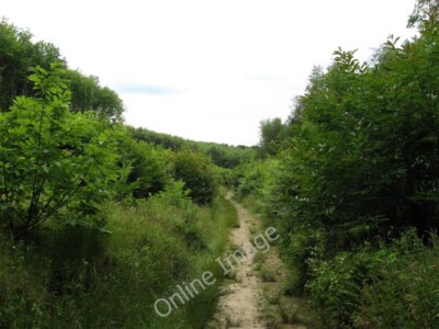 Photo 6x4 Waste Wood Hadlow Down The wood covers the majority of this squ c2009