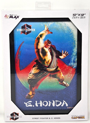 Street Fighter 6 E Honda Capcom Pixel Frames Plax Lenticular Art Level Up 10x12''