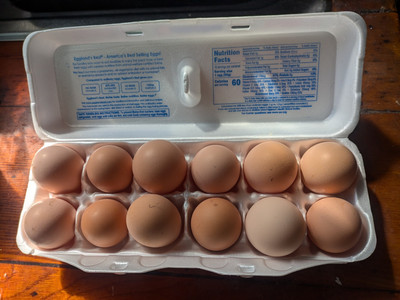 6 Fertile Brown Hatching Chicken eggs - Barnyard mix wide variety of breeds