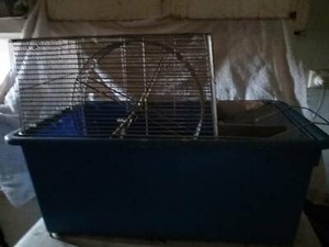 rat breeder cage