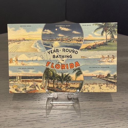 Lotto 7 cartoline turistiche vintage ~ anni '40 lino Florida centrale e spiagge - Foto 17 di 23