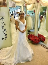 Mermaid Lace V-neck Wedding Dress with Veil