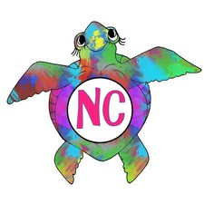 Decal Vinyl Sticker Sea Turtle - Multi Colors Made in USA