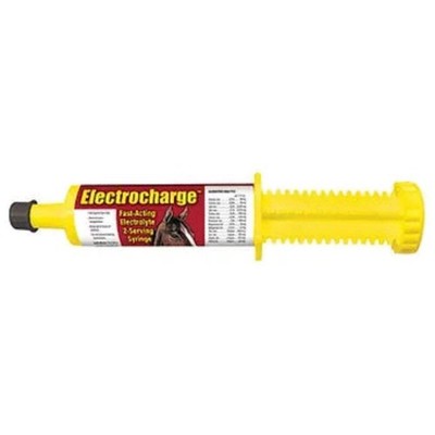 New! ELECTROCHARGE FOR HORSES PASTE 60 cc Restores horse's salts & minerals