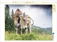 Calvendo Puzzle Curious Brown Cattle | 1000 Pieces, Finished Size 25.2 × 18.9 In
