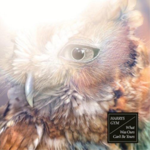 Harrys Gym What Was Ours Can't Be Yours (CD) Album