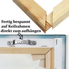 Bild 7 von 8