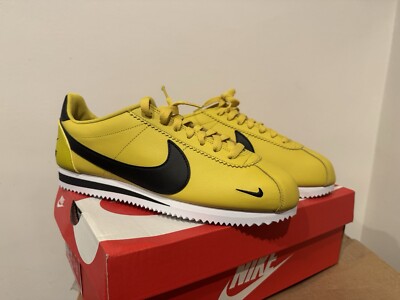 cortez blazing sun
