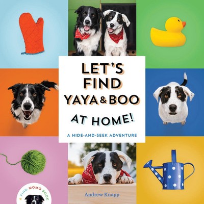 Let's Find Yaya and Boo at Home! | A Hide-and-Seek Adventure | Andrew Knapp