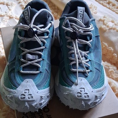 Nike ACG Mountain Fly 2 Low Hiking Shoes US 7.5 M Bicoastal Orewood DV7903-300