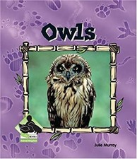Owls Hardcover Julie Murray