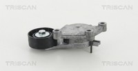 Triscan Riemenspanner Keilrippenriemen 8641 273006 FüR Ford Volvo MAX Fiesta 6 3