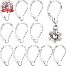 12 Pcs Leverback Earring Hooks, Stainless Steel Clasp Hoop, Hypoallergenic Dangl