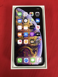 Apple Iphone Xs Max 512gb Space Grey Unlocked A2101 Gsm Ebay