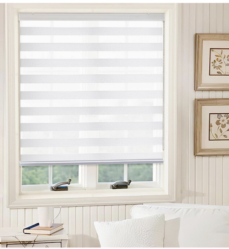 SHECUTE Zebra Blinds for Windows, 20”w x 72”h White Zebra Roller Shades,