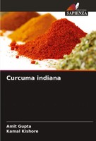 Curcuma Indiana Amit Gupta (U. A.) Taschenbuch Italienisch 2025