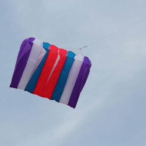 Large and 9.84ft Flying Line Single Line Kites for each Trip B - Picture 1 of 10