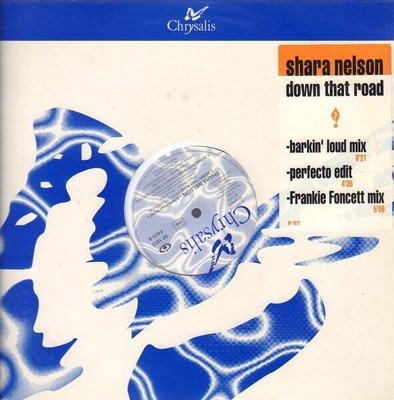 Shara Nelson Down That Road Vinyl Single 12inch NEAR MINT Chrysalis