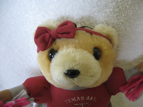 Orso cheerleader Texas A&M Texas A & M University Orso cheerleader - Foto 4 di 7