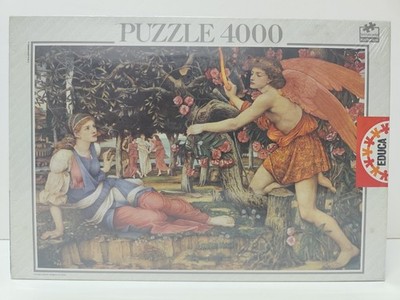EDUCA PUZZLE 4000 Love and the Maiden John Roddam SPENCER No. 11763