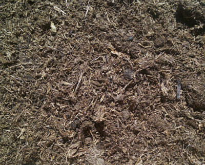 Organtic Sphagnum Peat Moss 1 Gallon Free Shipping