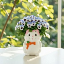 Hasen-Blumentopf kompakt Tisch-Blumentopf charmant f&uuml;r Pflanzenliebhaber